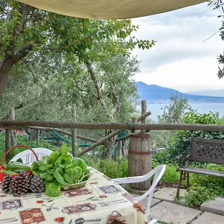 Bed & Breakfast The Eagle Vico Equense